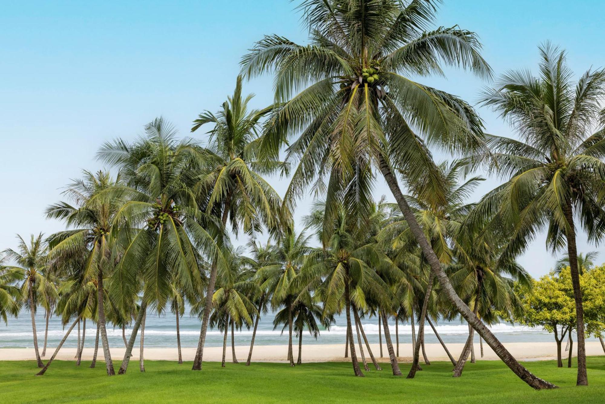 Raffles Hainan Clear Water Bay Lingshui (Hainan) Exterior foto